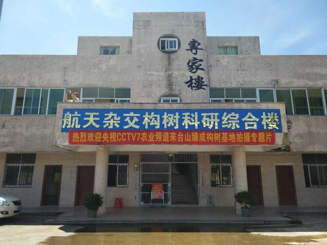 王子成构树团队：做好构树产业链，提升构树含金量！