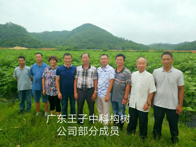 王子成构树团队：做好构树产业链，提升构树含金量！