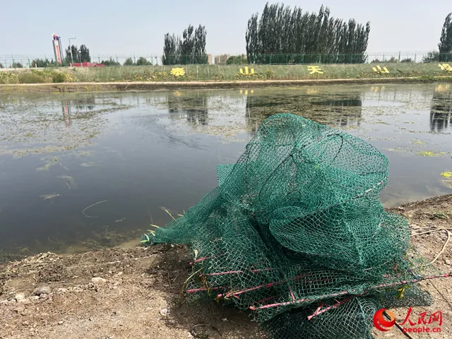致富经龙虾养殖_致富事迹龙虾养殖发展_龙虾养殖致富事迹