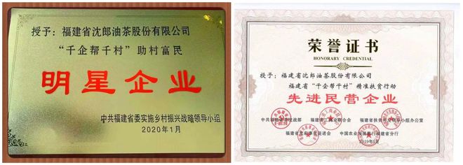 致富经 油茶_油茶项目到底效益好不好_致富经创业项目油茶树
