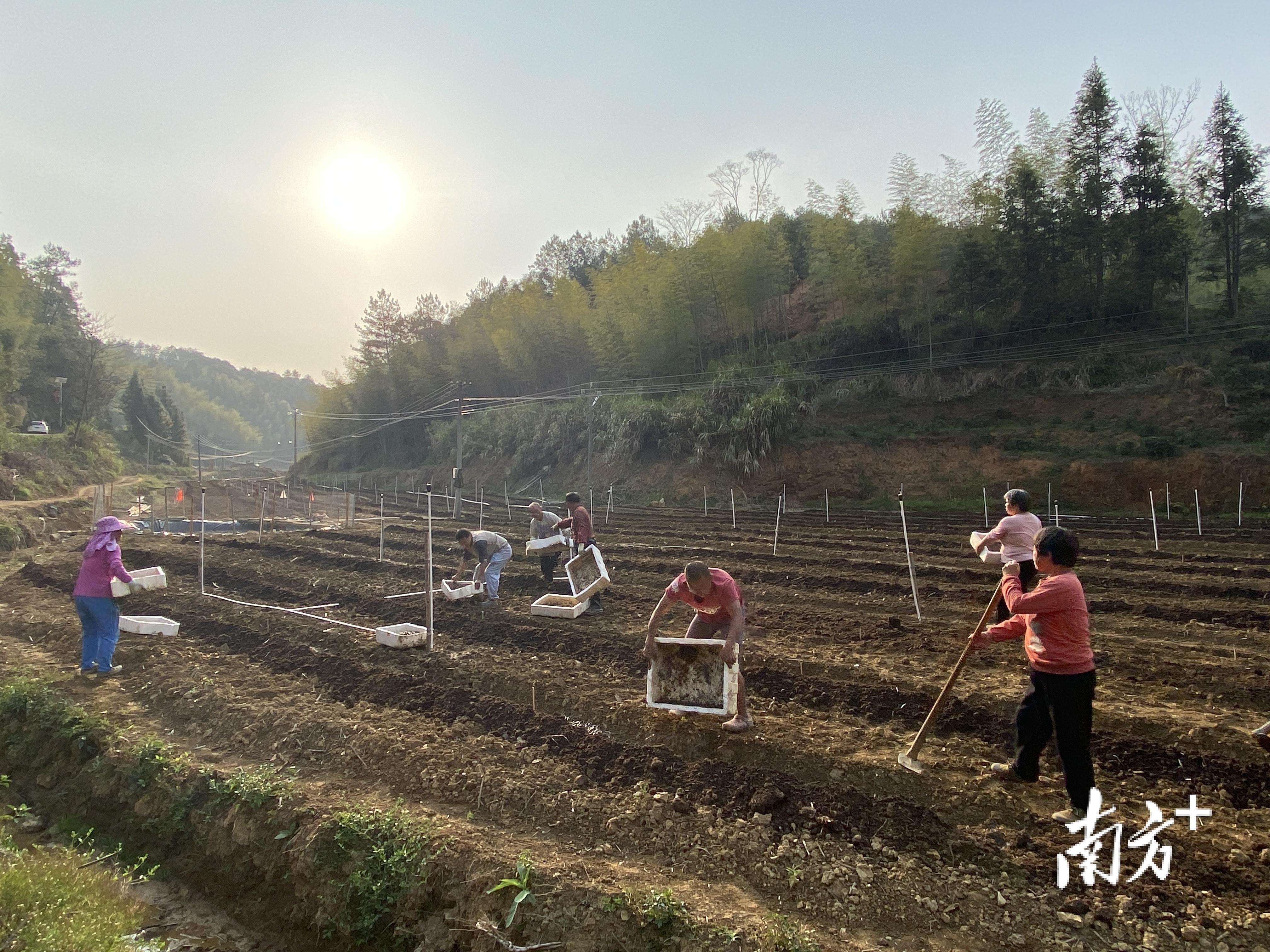 养殖地龙致富_致富养殖地龙怎么养_致富养殖地龙怎么样