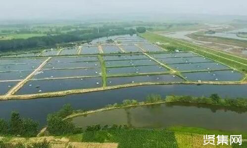水产养殖比较有发展前途的四种新模式