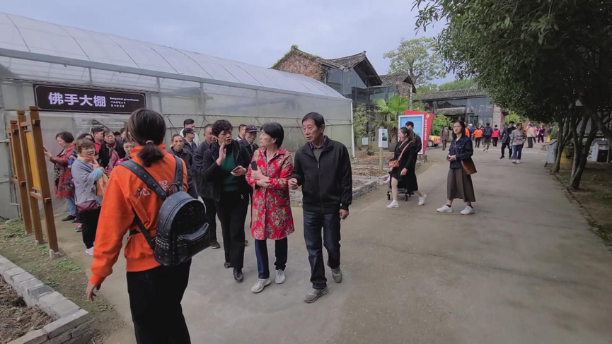 浙江金华种植致富人物_浙江金华富豪_浙江致富项目