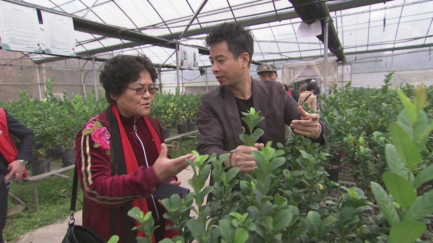 浙江金华富豪_浙江金华种植致富人物_浙江致富项目