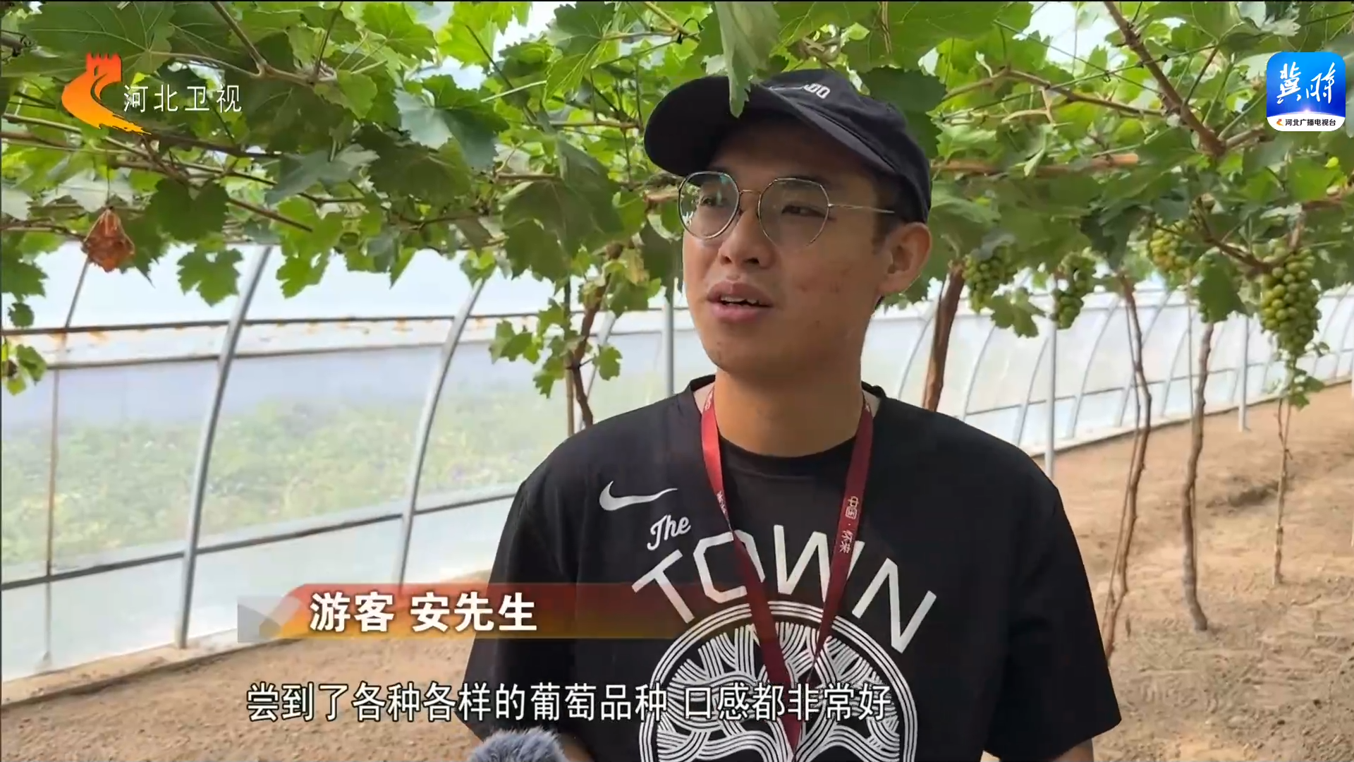 致富果种植前景_果树种植致富经_2021年种植致富前景