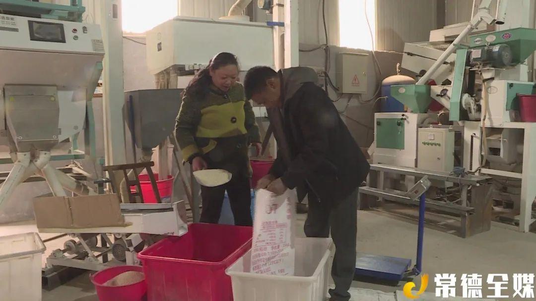 浙江金华种植致富人物_浙江致富经_浙江致富项目