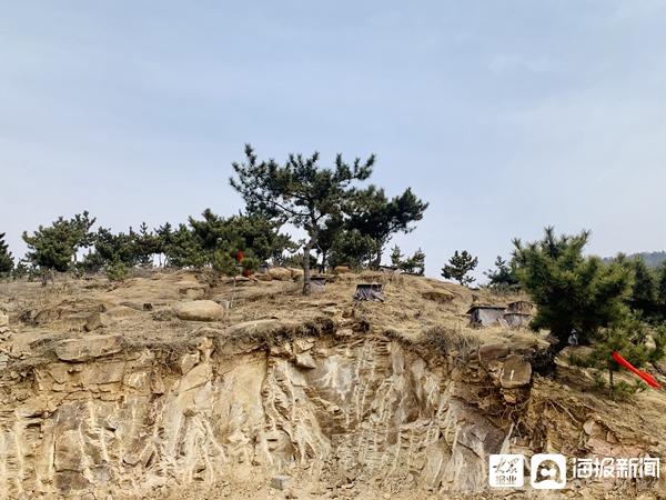 致富经养野蜜蜂_蜜蜂养殖致富_野蜜蜂养殖