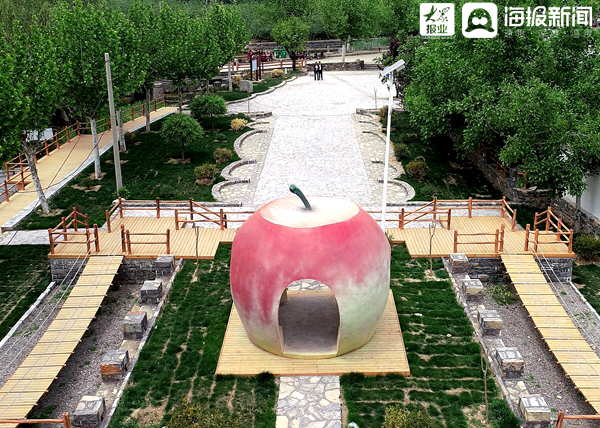 致富经养野蜜蜂_野蜜蜂养殖_蜜蜂养殖致富