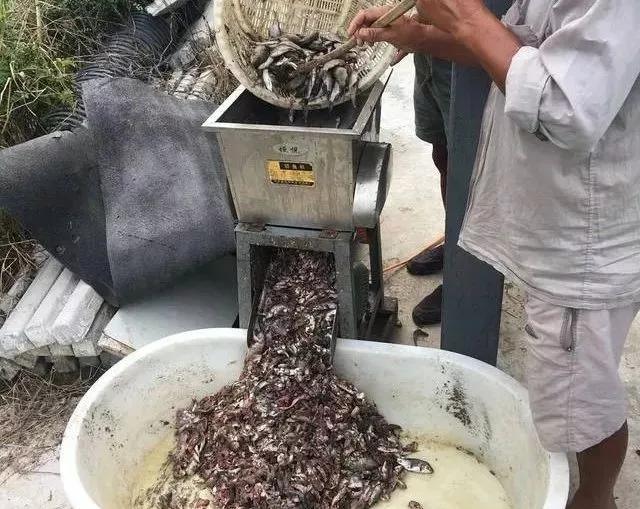 学龙虾养殖技术_龙虾养殖技术大全视频教程_龙虾养殖学技术视频教程
