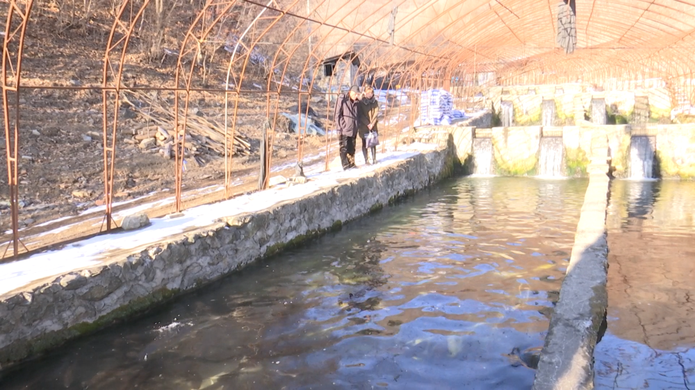 视频致富养殖鲟鱼在线观看_视频致富养殖鲟鱼_养殖致富鲟鱼视频
