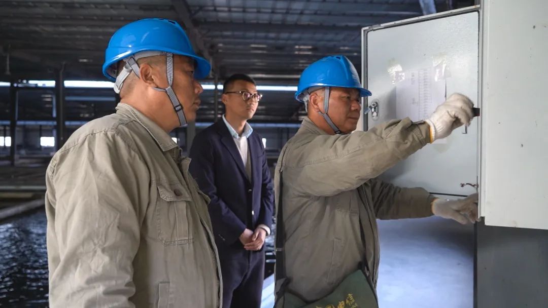 视频致富养殖鲟鱼_视频致富养殖鲟鱼是真的吗_养殖致富鲟鱼视频