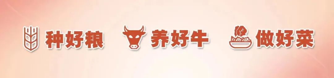 农民致富种植项目_种植致富业_农民种植致富思路