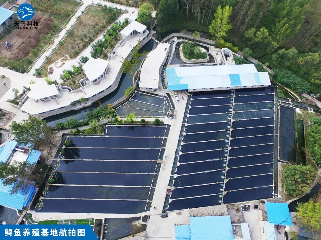 养殖鲟鱼要投资多少钱_视频致富养殖鲟鱼在线观看_养殖致富鲟鱼视频