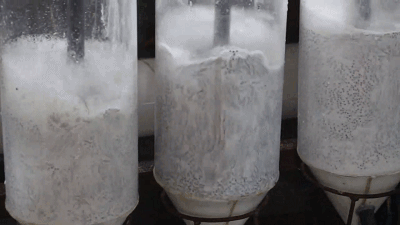 养殖鲟鱼要投资多少钱_养殖致富鲟鱼视频_视频致富养殖鲟鱼在线观看