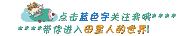 致富经大棚莲藕视频_致富经高产藕种植视频_致富经种藕视频