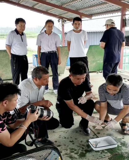 养殖致富案例分析_致富养殖业_致富养殖好项目大全
