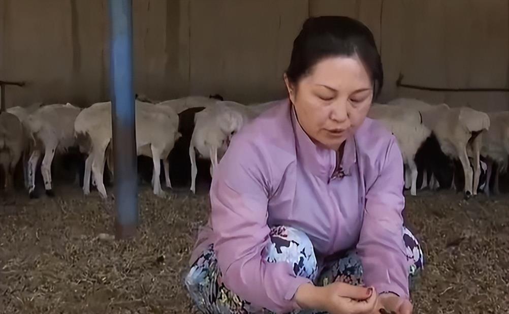 东北种植致富行业_东北种植业什么最赚钱_适合东北种植致富项目