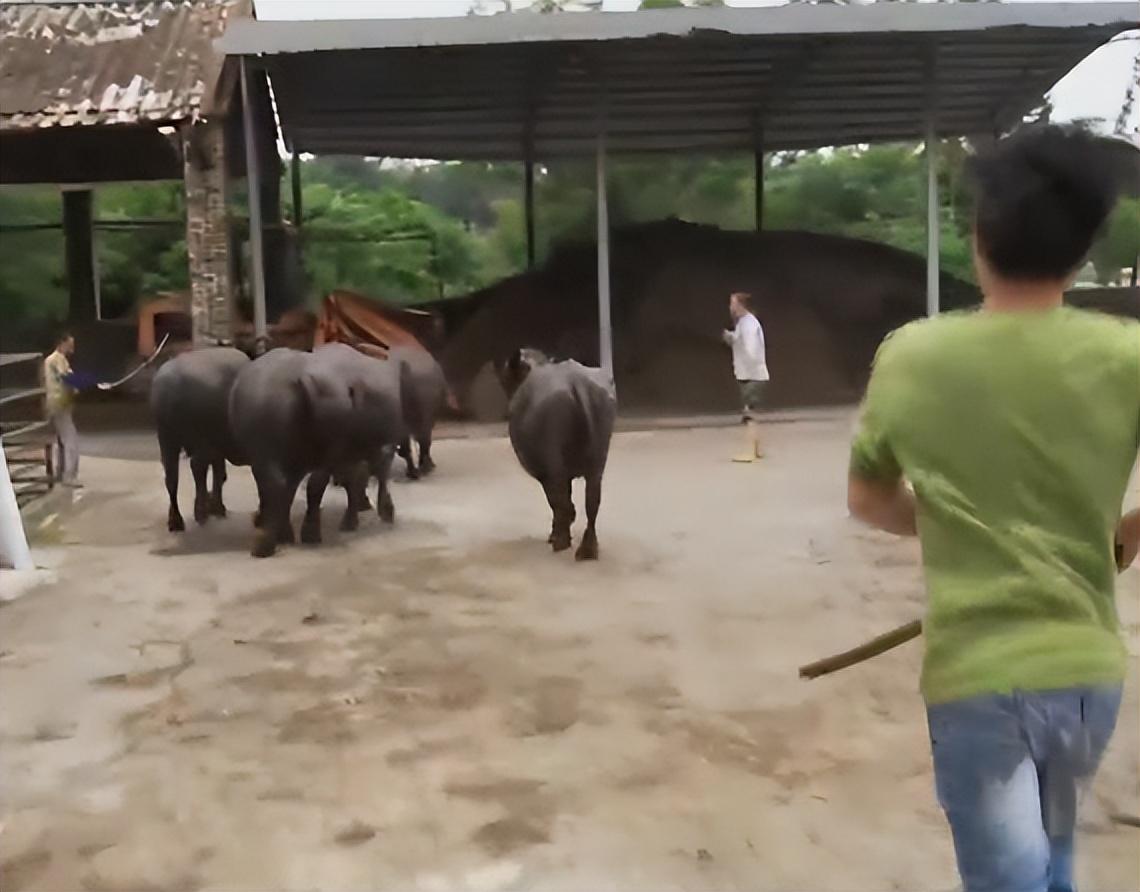 致富养殖河蚌故事简介_河蚌养殖致富故事_致富养殖河蚌故事内容