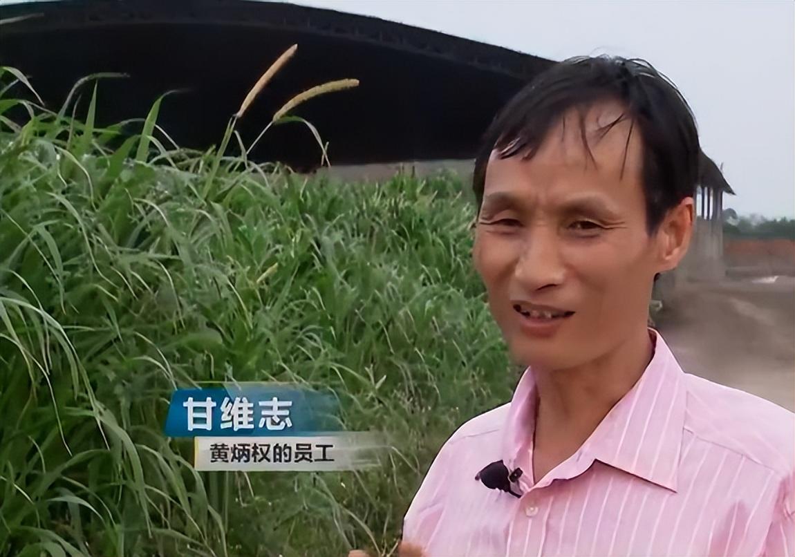 致富养殖河蚌故事内容_致富养殖河蚌故事简介_河蚌养殖致富故事