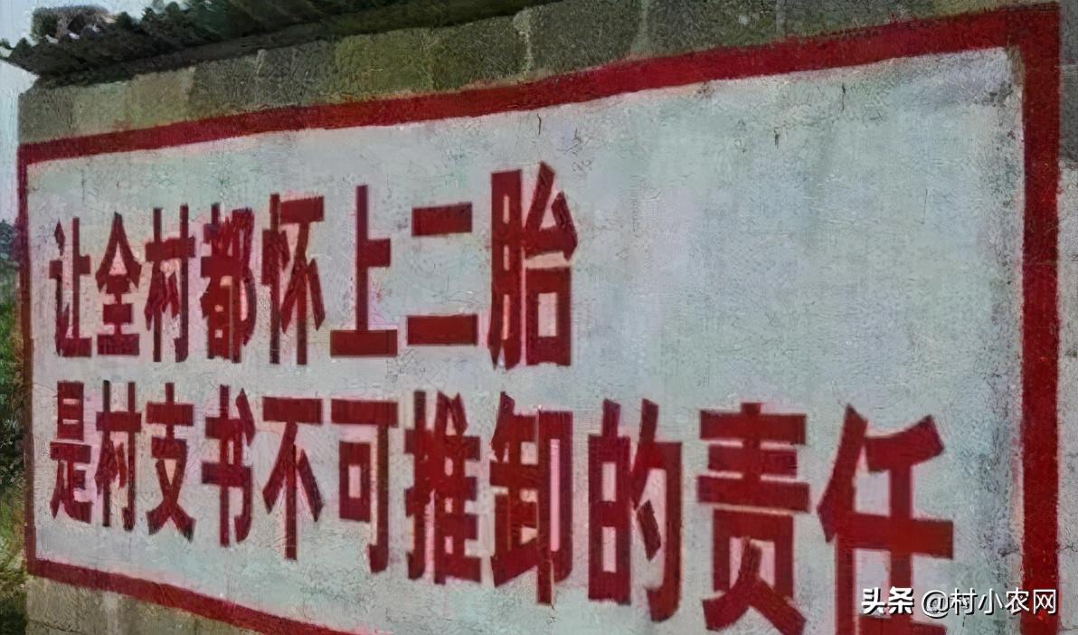 致富年代_致富年代文_2 2O年致富经