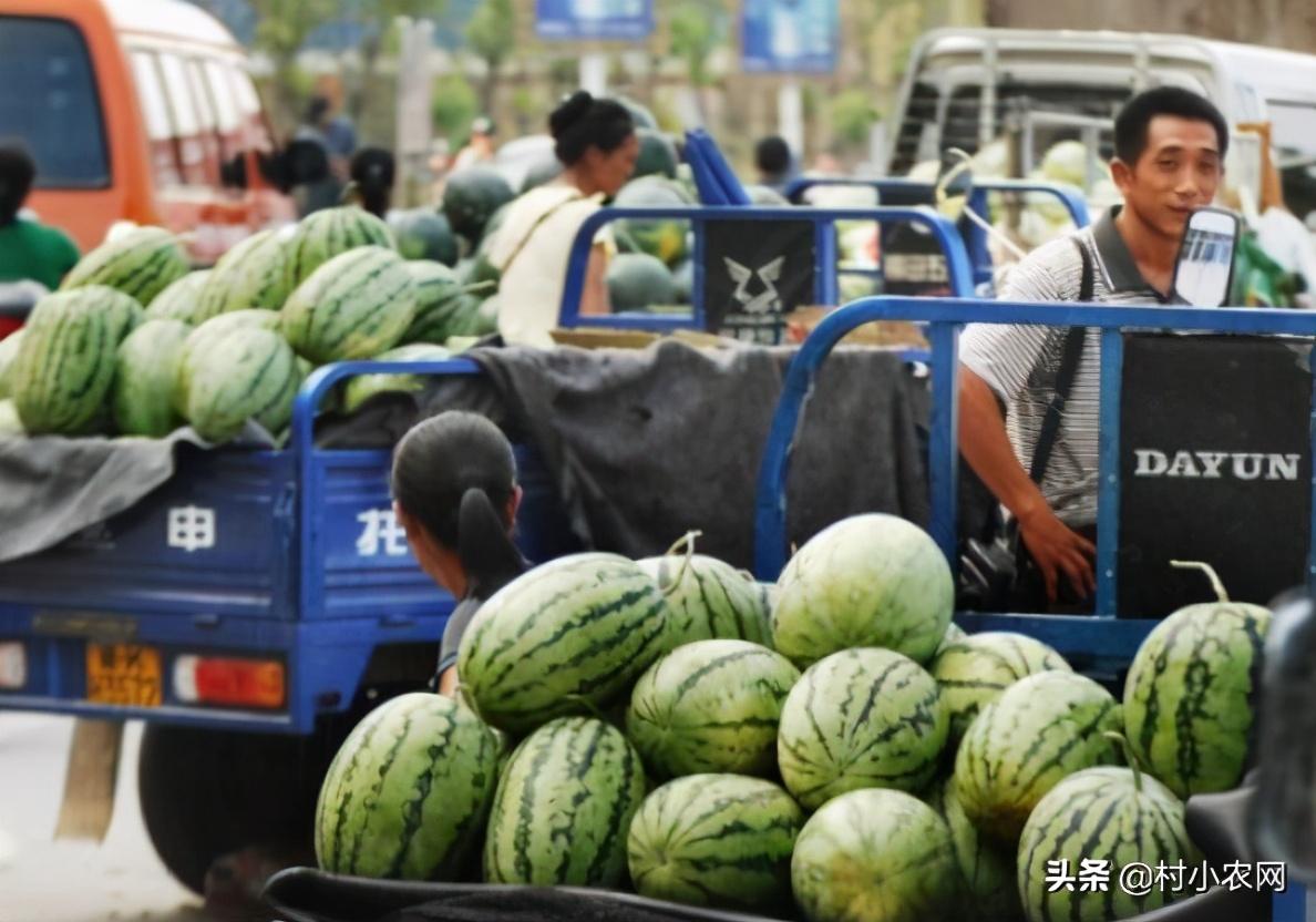 致富年代文_2 2O年致富经_致富年代