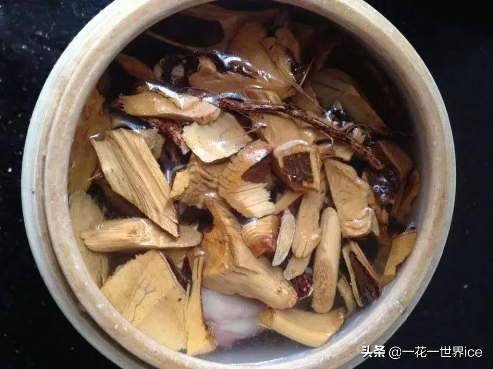 毛桃种植技术_致富种植毛桃项目有哪些_毛桃种植致富项目