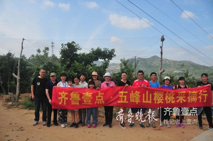三农致富经种植_三农致富榜样2019_三农致富经大樱桃