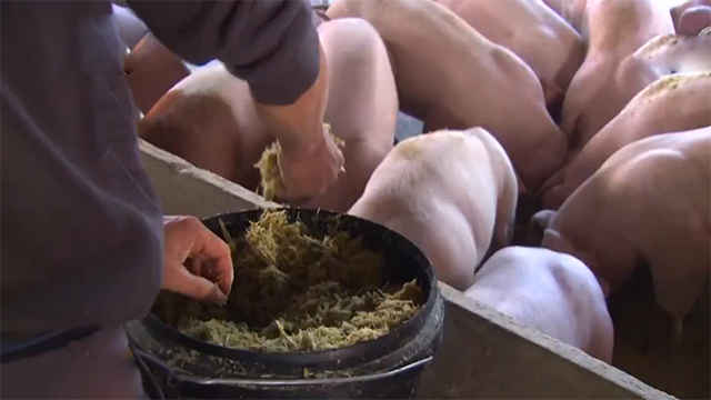 致富经广西山区养鱼_广西生态养鱼致富经_广西养鱼基地