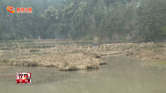 水产养殖致富经_水产养殖致富项目_致富经水产养殖如何致富