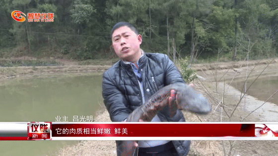 水产养殖致富项目_致富经水产养殖如何致富_水产养殖致富经