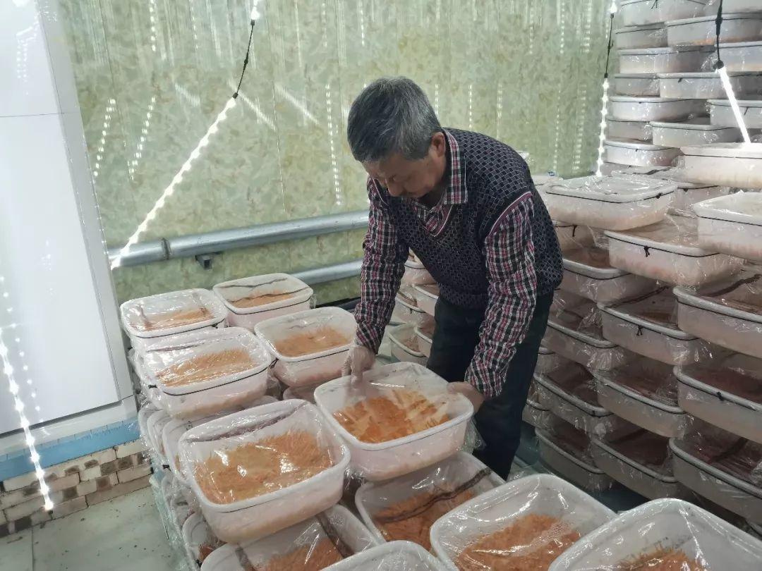 东北种植致富行业_适合东北种植致富项目_致富东北种植行业怎么样
