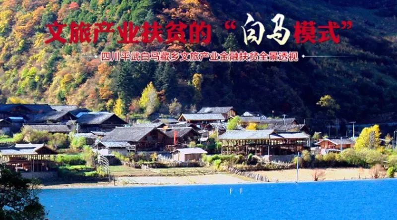 养鸡致富经2020年全集_白鸡养殖致富项目_养殖鸡致富经视频