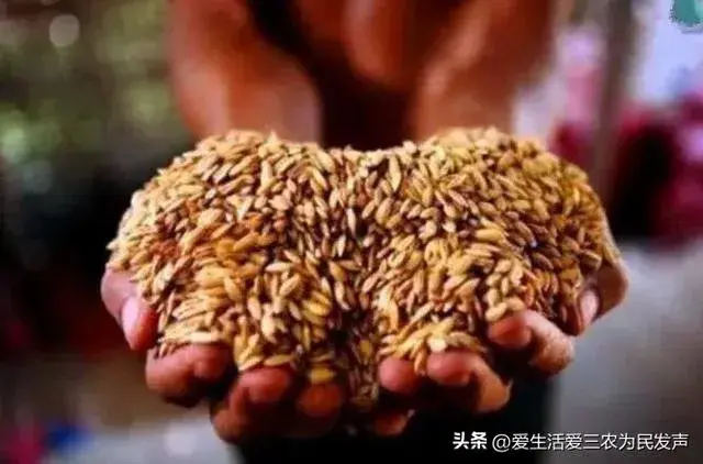 优质问题及经验_经验的问题_优质经验问题有哪些
