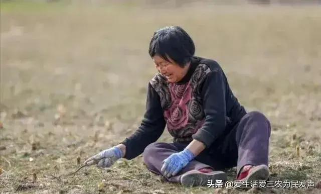 优质经验问题有哪些_优质问题及经验_经验的问题