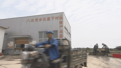 在河南农村养殖业什么赚钱_河南养殖致富网_河南息县养殖致富