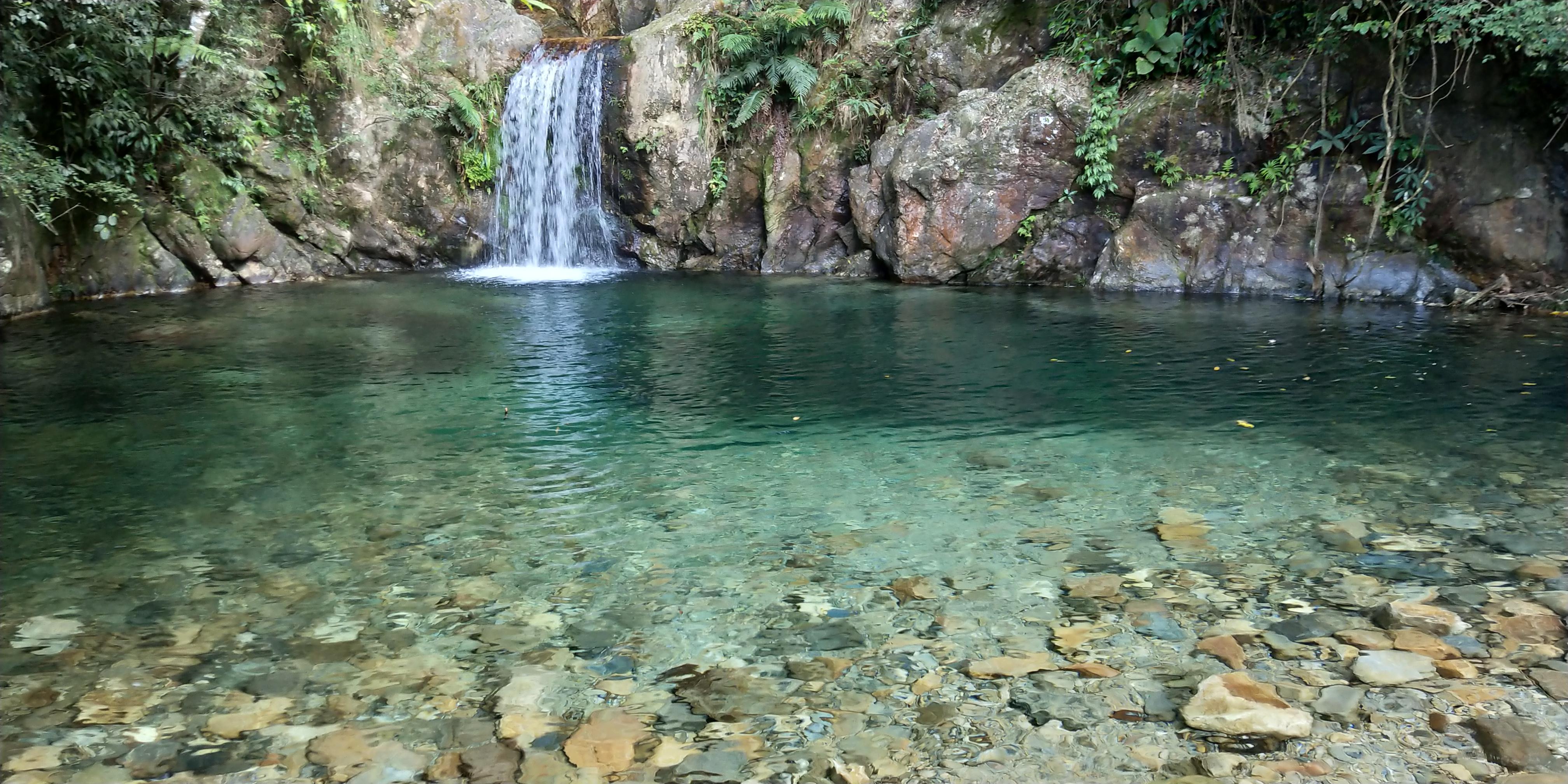 山泉水养殖草鱼的前景分析