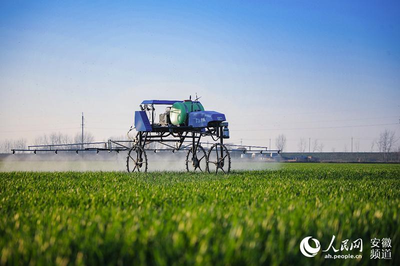 优质粮食工程典型经验交流_粮食优质工程典型经验发言_优质粮食工程经验交流材料