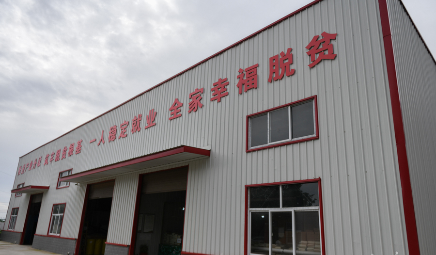 艾叶产业致富经_艾叶产业链_艾草产业前景如何