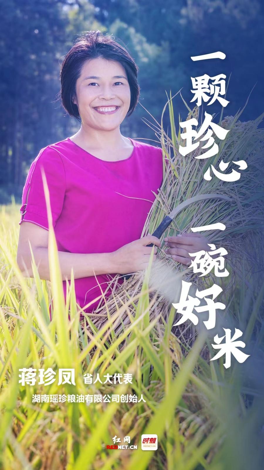永州人大·履职时光丨蒋珍凤：用良心种放心粮食 用珍心做湘米品牌