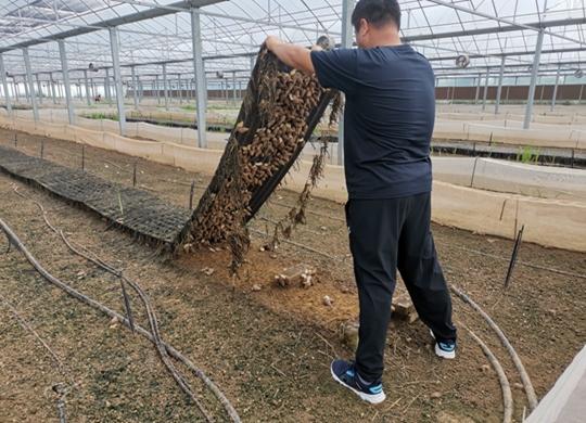 浙江甲鱼养殖致富_致富养殖浙江甲鱼视频_浙江养甲鱼的多吗
