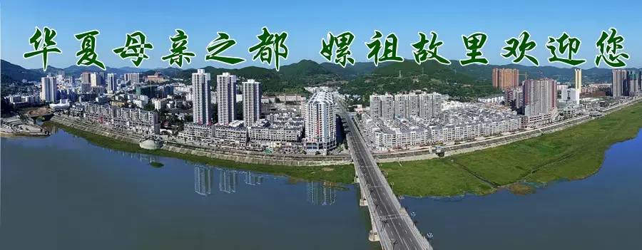 玉龙镇核桃树种植筑起群众致富路