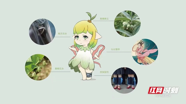 致富2014_致富经_致富经20140611