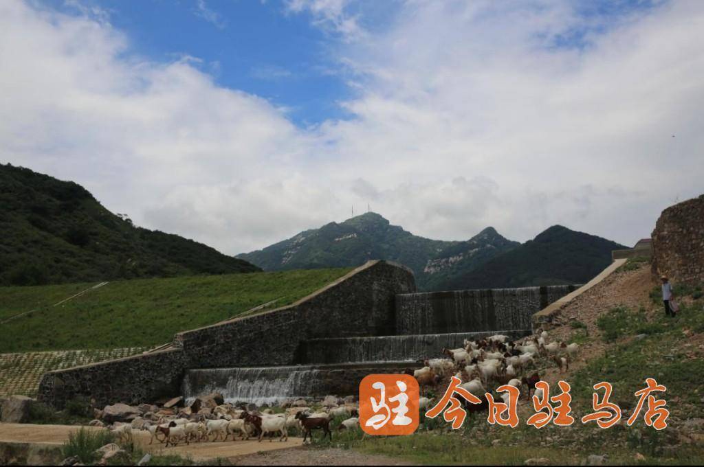 羊肉贩子挣钱么_致富经羊肉_卖羊肉致富经