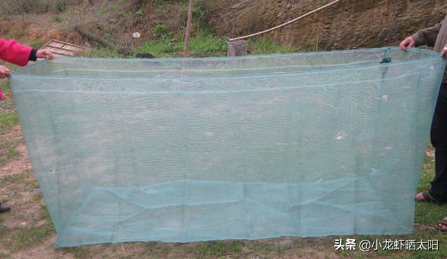 养殖黄鳝网箱技术要求_黄鳝网箱养殖技术_黄鳝网箱养殖新技术