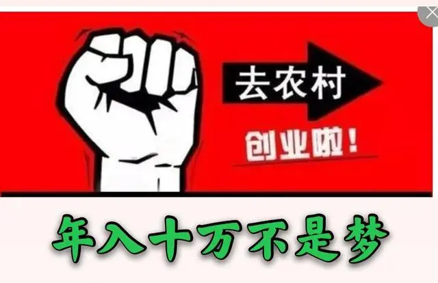 山西火鸡养殖致富_养殖火鸡的成本及利润_正宗火鸡养殖案例