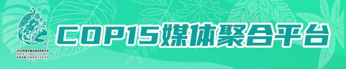 这支科研队伍让中国人吃上世界最便宜的羊肚菌