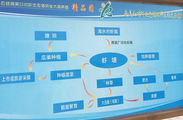 致富经无奈养鹅赚得百万_养鹅致富案例_养鹅挣钱不