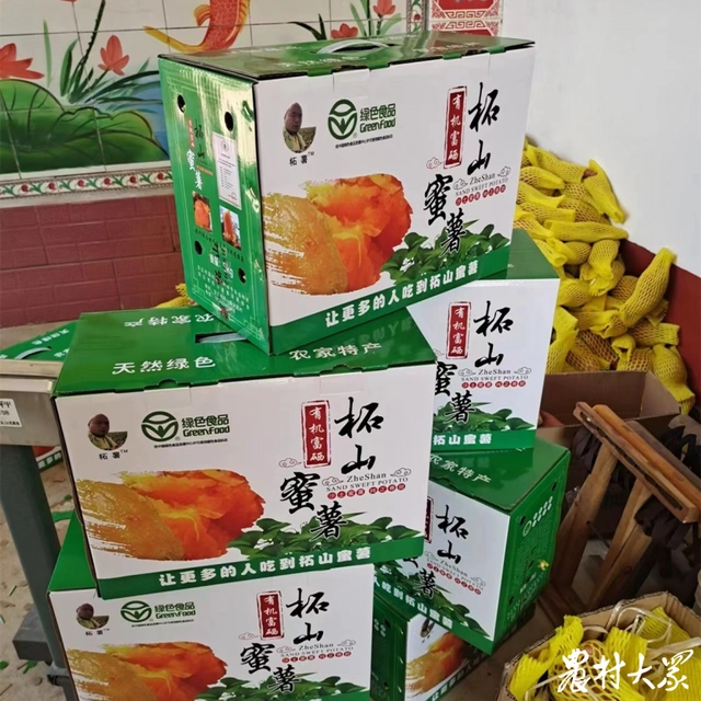 种植蜜薯赚钱吗_蜜薯种植技术视频_香蜜薯种植致富