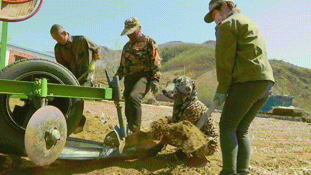 致富经农业种植_致富经种植业_特色种植致富新路径有哪些