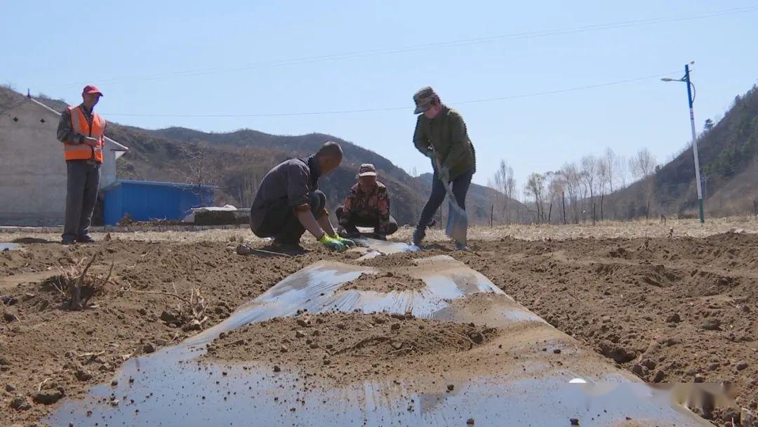 致富经种植业_致富经农业种植_特色种植致富新路径有哪些